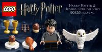 LEGO Harry Potter 30420 Harry Potter and Hedwig: Owl Delivery (polybag)
